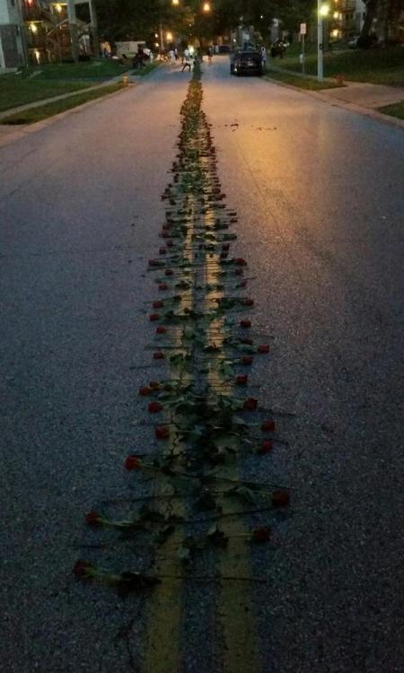 socialjusticekoolaid:  What they won’t show you on CNN tonight: Ferguson residents line a parade of roses down W Florissant, leading to where Mike Brown was taken from this world. #staywoke #powerful #insolidarity  