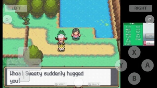 so, that’s how I played pokemon HG/SS
