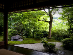 papalagiblog:  Temples in Kyoto. Images by