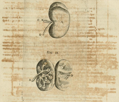 magictransistor:  Robert Fludd. Anatomiae Amphitheatrum Effigie Triplici. 1623.