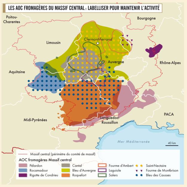 Different cheeses in the French area of Massif Central.