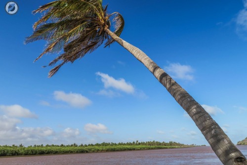 Goobweyn, Somalia. Where the Indian Ocean meets the Jubba River. (Photos by: Mukhtar Nur)