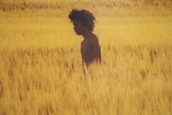 black-boys:  Detail from “Golden Grassland”