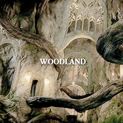 elvenking:The Woodland Realm was a kingdom of Silvan Elves in the Forest of the Wilderland beginning