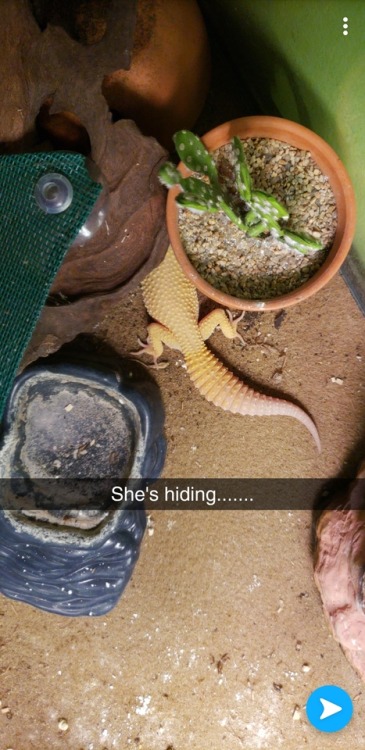 Shes hiding…..