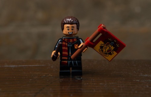 The upcoming Wizarding World Collectable Minifigures. These include sixteen characters from the Harr