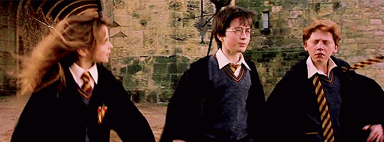 justiintaylor:“Listen!” said Harry again.“No, Harry, you listen,” said Hermione.