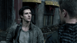 fallingskiestnt:  Hal: “It’s not open season on my girlfriend.”  