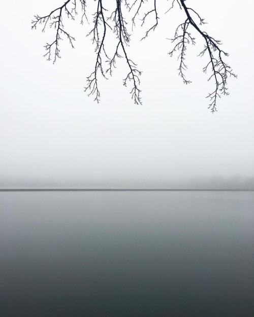 manhattan moorlands (at Jacqueline Kennedy Onassis Reservoir)