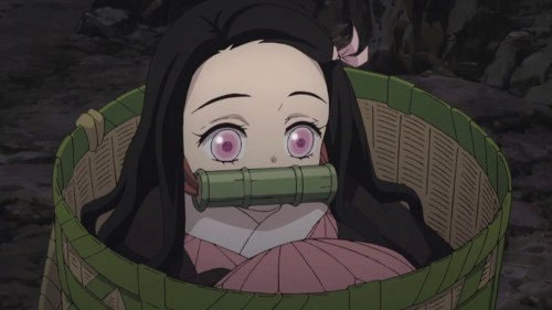 tiny nezuko | Tumblr