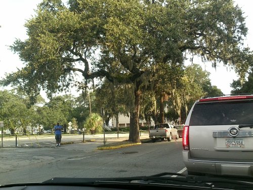 Savannah trip photos and glasses selfie at a gas station. a sunrise on the drive in, a couple drive by shots of the city, and the rest are from the estuary around Bonaventure
