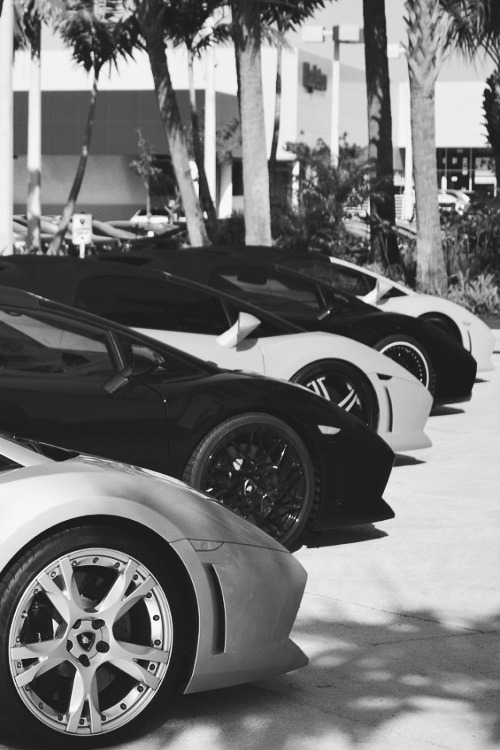 dope-kidd-junior:  ▼ Dope-kidd-junior ▼  Follow My Blog &amp; Add My