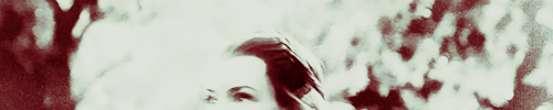 commander-leksa:Do you think she could have loved me?