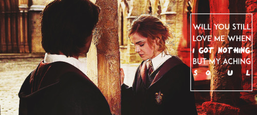 harry x hermione