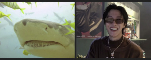 Bts As My Favourite Sharks !!! (and Why)
