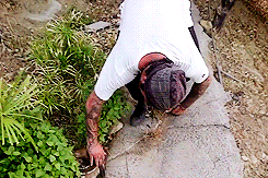 jackasshousefamily:  This is the cutest thing I’ve ever seen in my life.