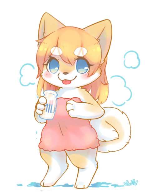 wolfwithribbon: 一隻剛從溫泉出來的柴犬妹 ~ <3