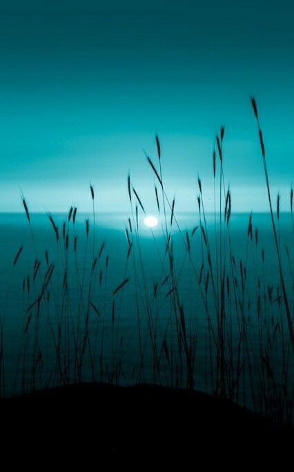 blue sunset by Abdo Medawar