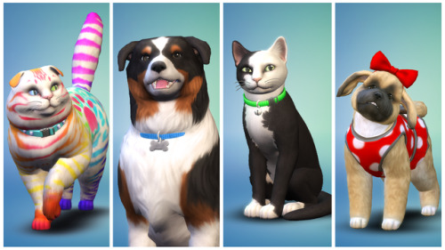 lilsimsie: The Sims™ 4 Cats &amp; DogsLife is Better with Cats &amp; Dogs Create a va