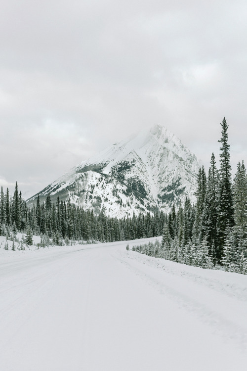chrisamat:  Winter Drives in Alberta - www.chrisamat.com