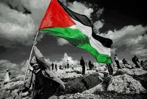 لا يلزمك أن تكون فلسطينيًا لتحب فلسطين ،  حبها