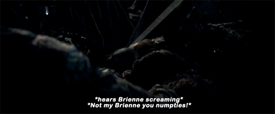 captainpoe:  Jaime and Brienne during the battle of Winterfell!