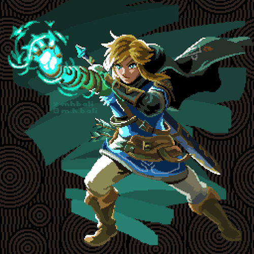 Link - Zonai Hand