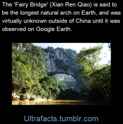 ultrafacts:Fairy Bridge (Xian Ren Qiao) is a  meander natural bridge carved through limestone karst by the Buliu River. It is located about 40 km (as the crow flies) northwest of Fengshan in northwestern Guangxi Province, China.Until recently, Fairy