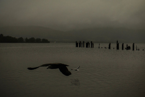 Loch Lomond, Scotland© Clara Isa