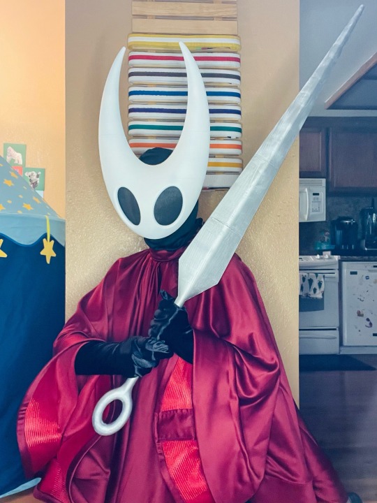 Hollow Knight Cosplay