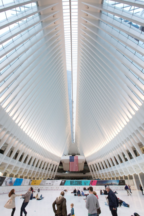 iheartmyart: Architect Santiago Calatrava’s World Trade Center Transportation Hub aka the