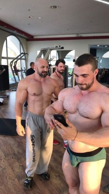 bigbodybuilderboys:  Big bull received a text from SIR and immediately started leaking 