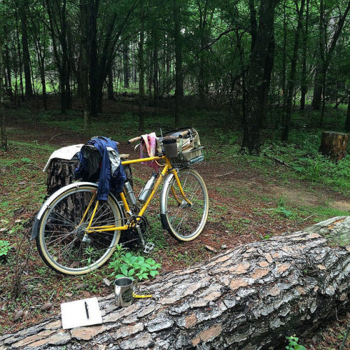 kinkicycle:  cherishing moments / on damp springtime woodland trails / like secret treasure #coffeeo