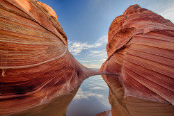 Vermillion Cliffs-Paria Canyon Wilderness (the Wave) in Arizona by Bob Wick