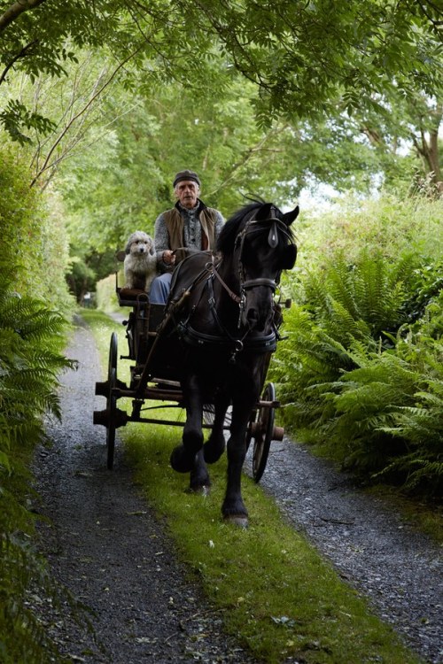 man-reading:   Photos: Kilcoe Castle, Jeremy Irons’s Transformed Ruin   Kilcoe Castle on Roaring Water Bay on the south western coast of Ireland. Photograph by Simon Upton.   Source: Vanity Fair, October 2017 Issue. Read more. 