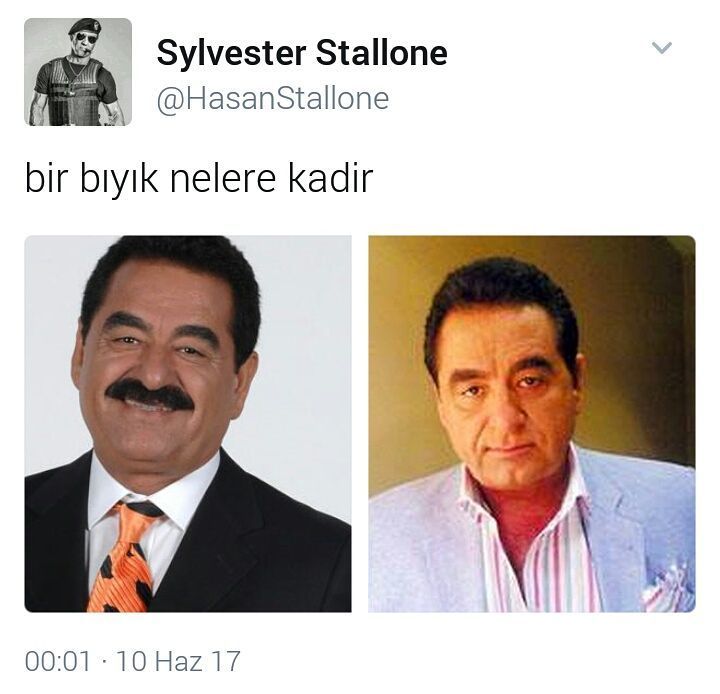 bir bıyık nelere kadir