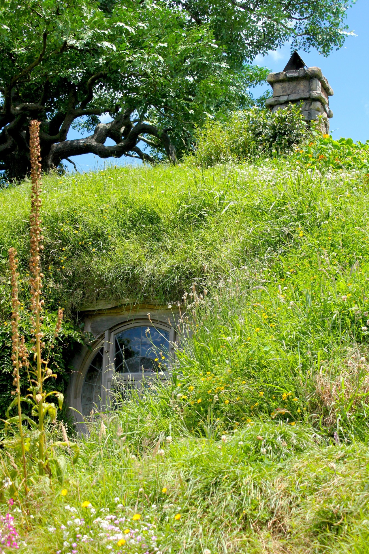 fashbashmash:  My own shots from my trip to Hobbiton yesterday :) Photos: 1. Inside
