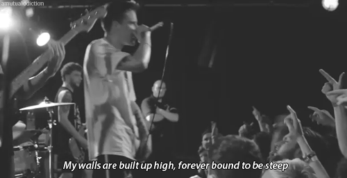 amutualddiction:  The Story So Far - High Regard 