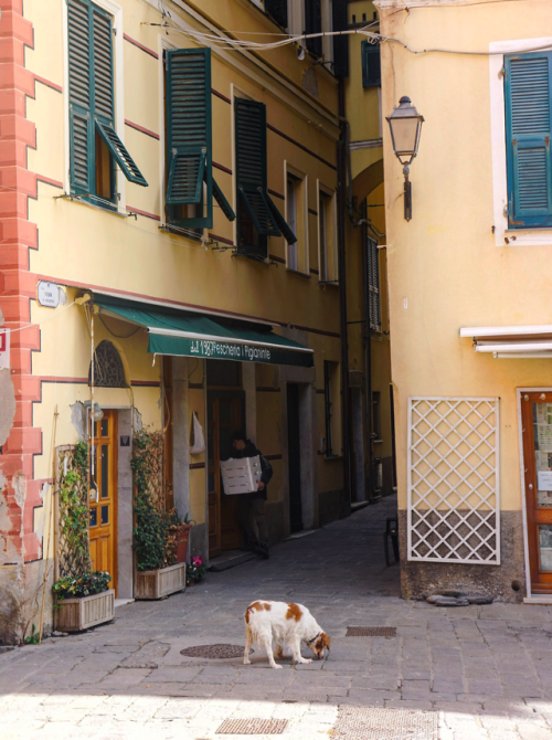 Monterosso al Mare Cinque Terre, Italy 