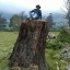 migueltorres74