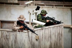 militaryarmament:  A Soldier from the Canadian Army, Princess Patricia’s Light Infrantry Regiment, 2nd Battalion, and a Marine from 1st Battalion, 3rd Marine Regiment provide security on a roof top during Military Operations on Urban Terrain exercise