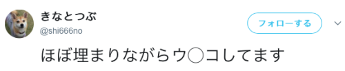 bibidebabideboo:  “ほぼ埋まりながらウ◯コしてます”(きなとつぶ(@shi666no)さん | Twitterから) 