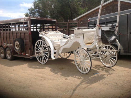Weld County&rsquo;s open space gives the room for horses and their carriages! Weld County loves 