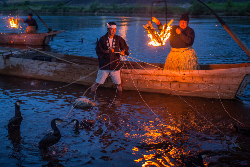 glukauf:  Cormorant masters and boatmen prepare sea cormorants for the nights “Ukai” on July 2, 2014 in Gifu, Japan. (Photo by Chris McGrath/Getty Images) 
