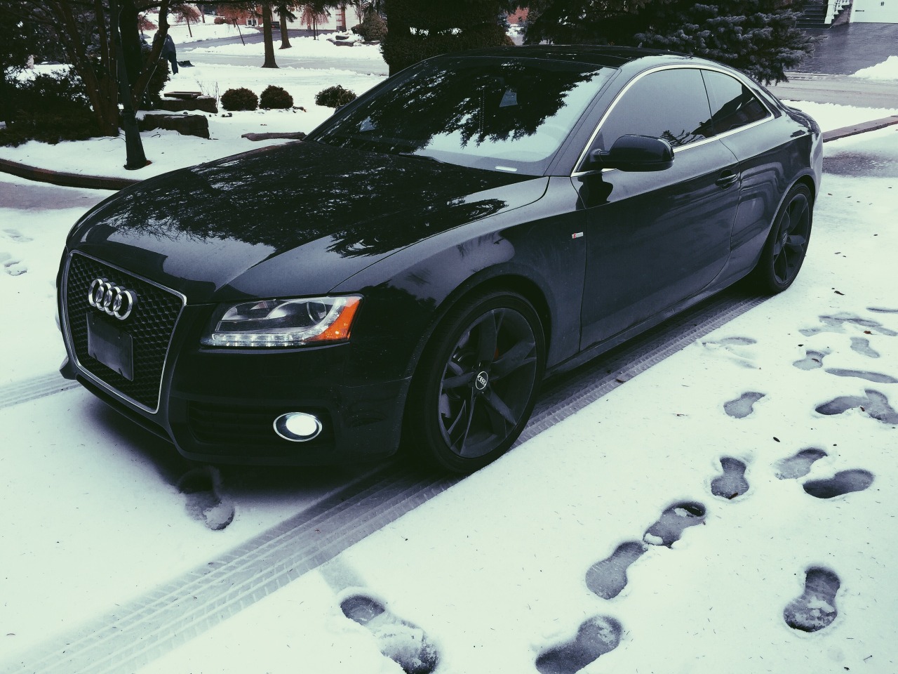 audi obsession