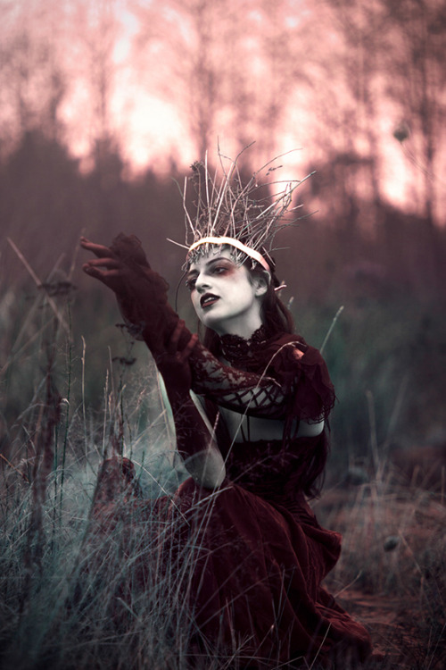 asylum-art:  Maiden Of Ravens: The Dark And Romantic Portraiture Of Sarah BowmanSarah Bowman is a photographer based in Nanaimo, Canada, whose passion for portraiture and surrealist imagery has blossomed into this darkly beautiful series, entitled Maiden