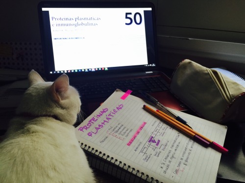 Friday Afternoon Study Session With She 😻