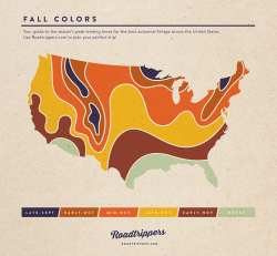 robotcosmonaut:  Fall Colors