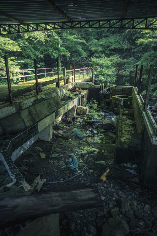 thefrogsapothecary: gitsandshiggles: elugraphy: Abandoned  playground in forest 02. @andreakont