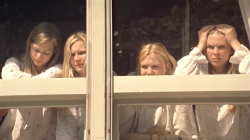 hirxeth:  The virgin suicides (1999) dir.